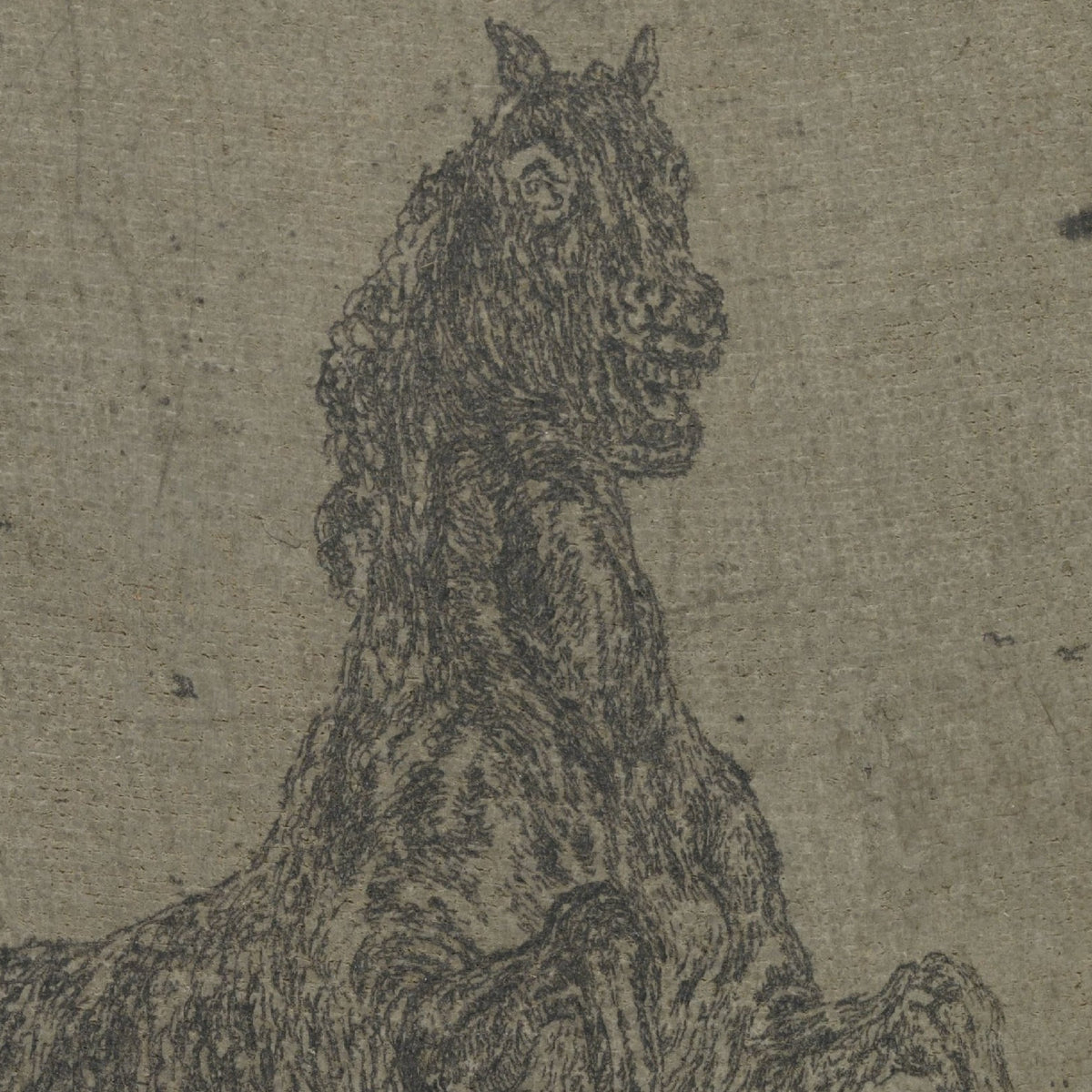 A Rearing Horse - Hercules Segers - Artwork detail