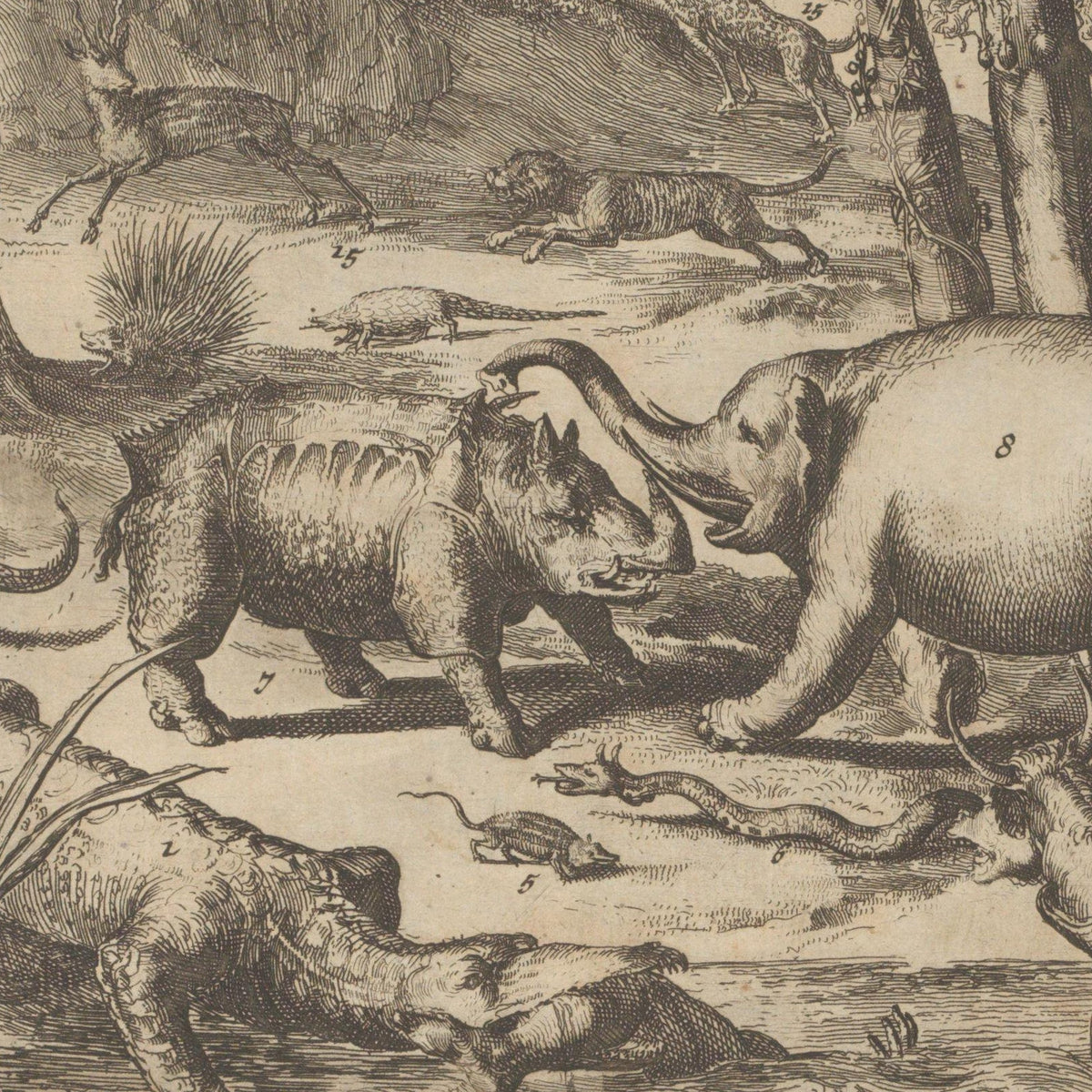Aziatische en Afrikaanse dieren - Romeyn de Hooghe - Artwork detail