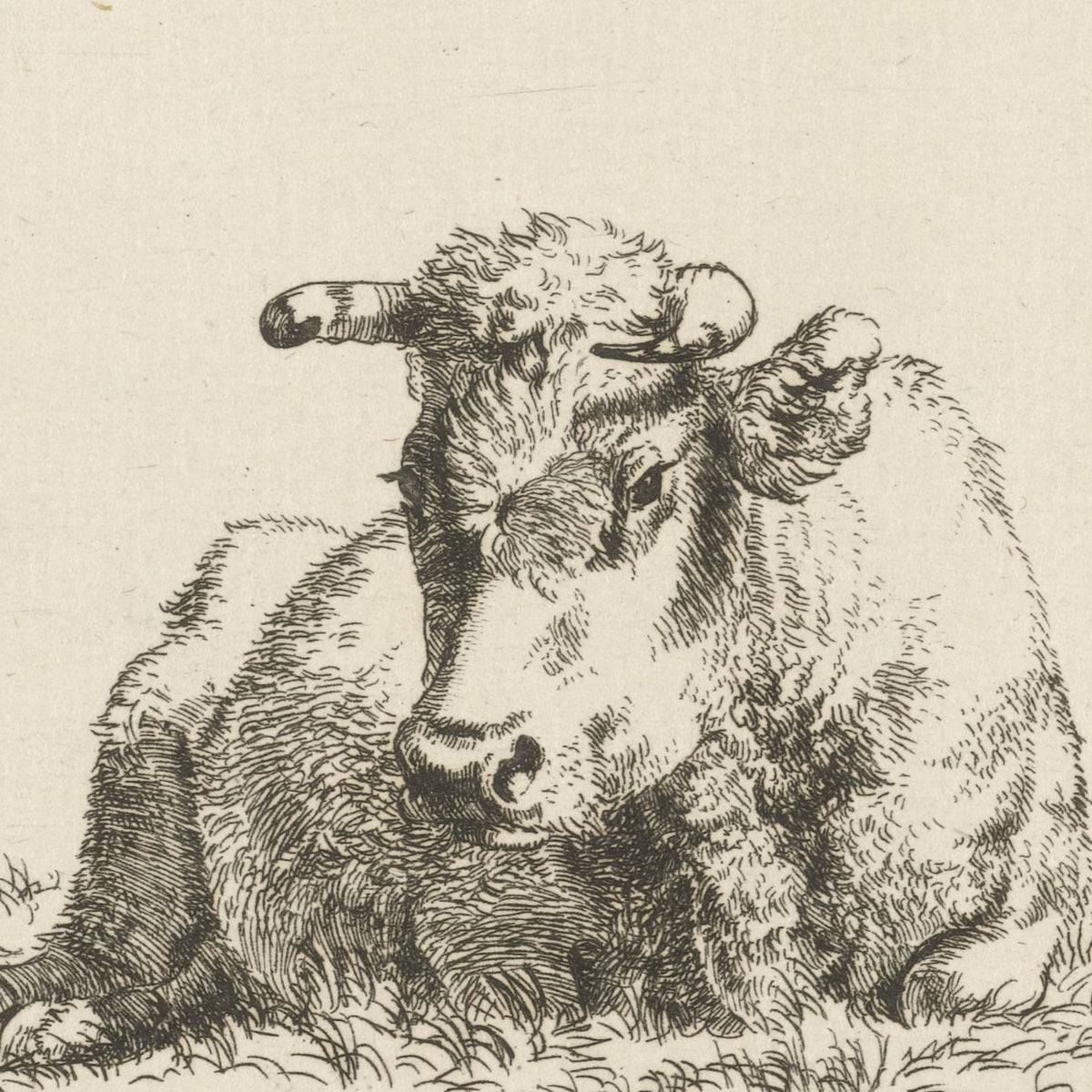 Liggende koe (Recumbent Cow) - Pieter Gerardus van Os - Artwork detail