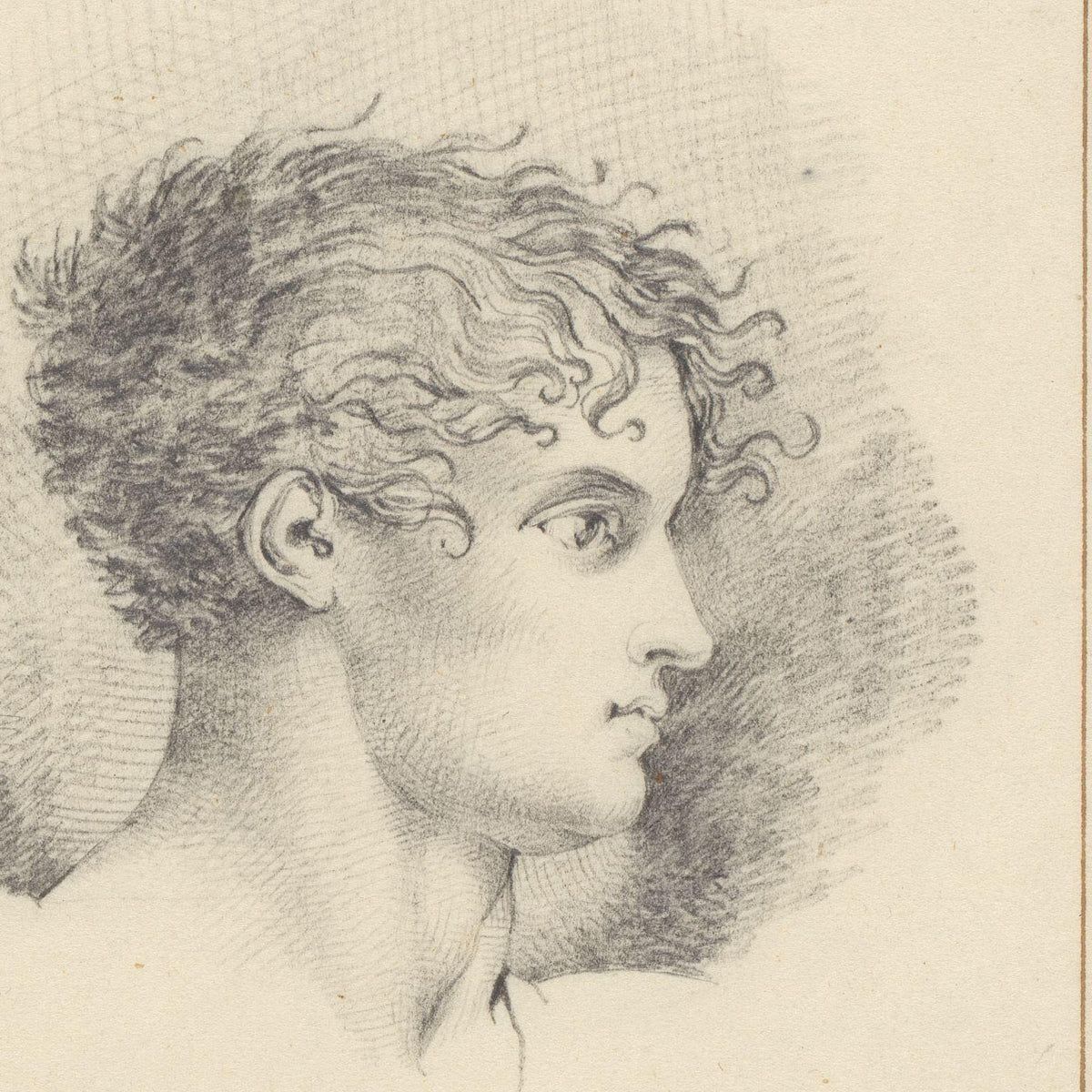 Head of a Man with Curly Hair - David Pièrre Giottino Humbert de Superville - Artwork detail